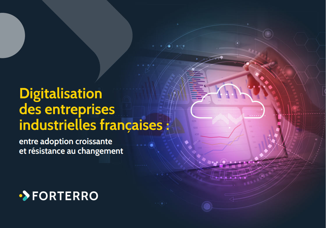 FR_Digitalisation_des_enterprises
