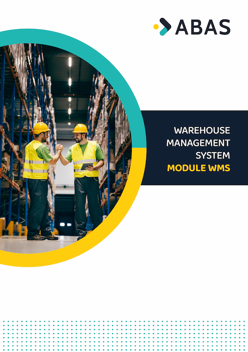 FWE_Abas_Module_WMS (1) (1)